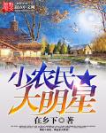 小农民大明星小说全文免费阅读下载