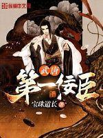 武唐第一纨绔 修改版