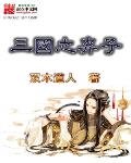 三国之弃子小说txt免费阅读