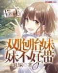 双胞胎妹妹高考状元小说
