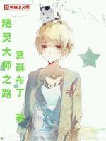 精灵大师之路小说在线阅读免费