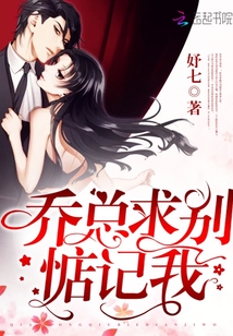 乔先生求别惦记我 小说