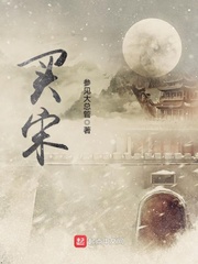 买宋l好还是海狮07好dmi