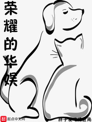 华娱荣耀巨星