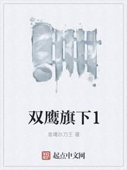 双鹰master
