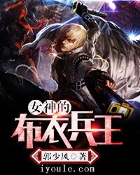 女神的布衣兵王小说免费阅读