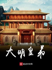 大明皇妃小说txt