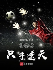 《足球之杀手》