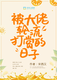 被大佬轮流打赏的日子小说全集免费观看