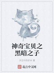 神奇宝贝之黑暗巅峰