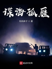 谍海孤雁txt下载奇书