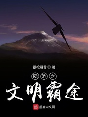 网游之文明与野蛮小说
