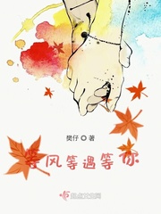 等风等遇等你小说免费下载