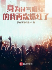 身为过气明星的我再次爆红了小说全本免费阅读