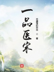 一品医宋小说全文免费阅读