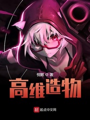 高维大罗小说
