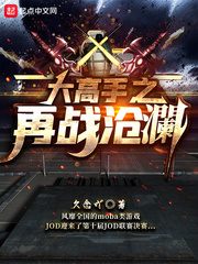 大高手之再战沧澜小说txt免费阅读