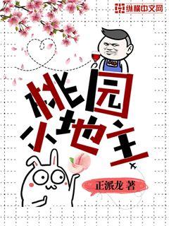 四合院桃园小地主白字