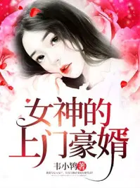 女神的上门女婿赵旭林晴晴