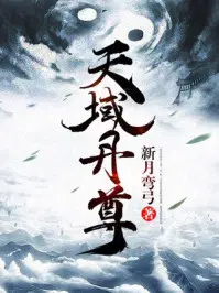 天域丹尊苏尘小说txt免费阅读