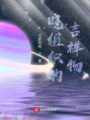 晓组织代表的十个愿望是什么