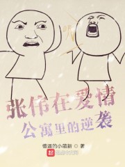 爱情公寓主角是张伟的小说