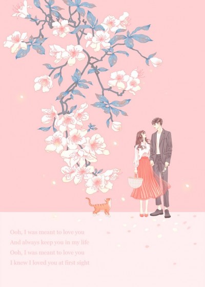 小说许你情深夜沉星凉