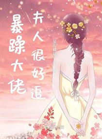 暴躁大佬夫人很好追小说全文免费阅读无弹窗