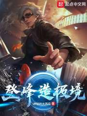 登峰造极顶点小说