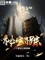 秘宝迷踪6