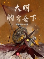 大明的苍穹下起点