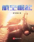 航空时代小说免费阅读