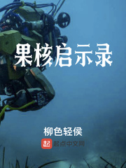 果核启示录TXT百度网盘