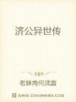 济公外传书本