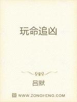 玩命追凶小说在线阅读