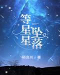 等星星坠落下册