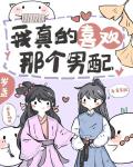 我真的喜欢那个男配!txt
