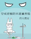 启夫微安小说作者介绍