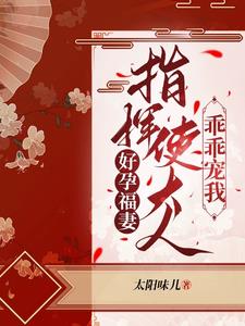洛染傅今安小说免费阅读完整版