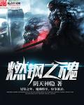 燃钢之魂百度网盘