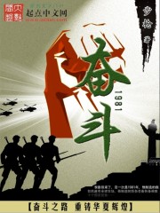 奋斗1981小说免费阅读全文