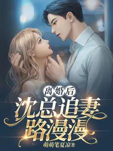 离婚后沈总追妻路漫漫txt小说免费阅读全文