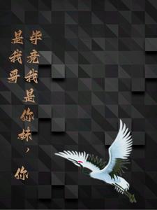 你是我哥小说阅读免费