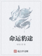 命运豹途txt小说免费阅读无弹窗