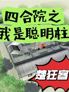 四合院题材 傻柱 开窍了 小说