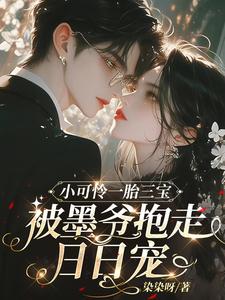 小可怜宝书网