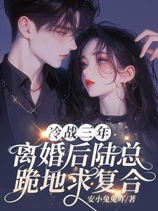 婚后冷战 小说