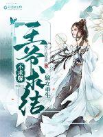 @what:书名 王爷站住