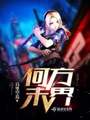 何方知小说