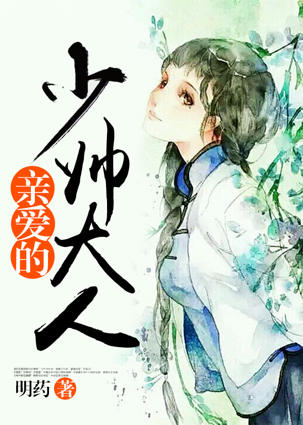 少帅的挚爱小说